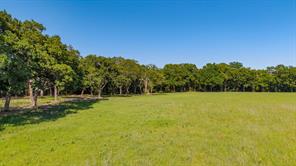 5.2 acres FM 1570 - Photo 8