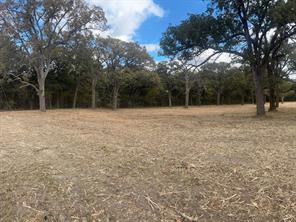 5.2 acres FM 1570 - Photo 9