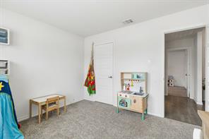 2009 Chisos Court - Photo 16