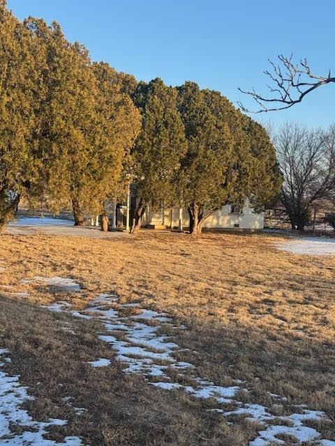1601 Peterson Road S - Photo 1