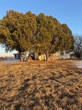 1601 Peterson Road S - Photo 3