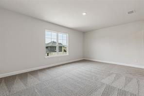 813 Palazzo Place - Photo 15