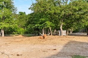 7401 Hilltop Drive - Photo 38