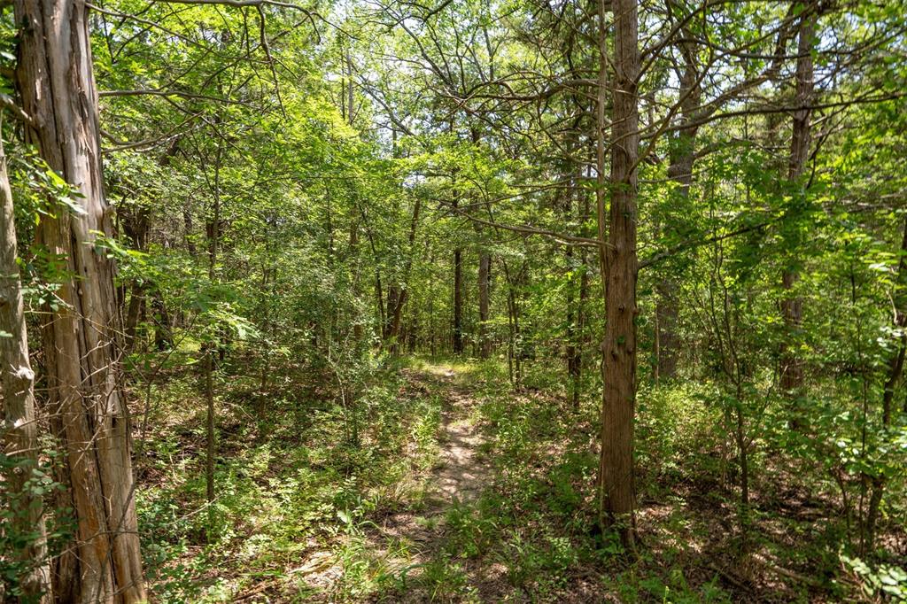 75 Lakepoint Loop - Photo 18