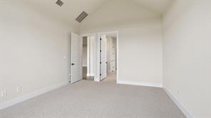 8017 Autumn Sage Trail - Photo 12