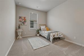 1229 Sabine River Lane - Photo 16