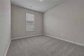 1229 Sabine River Lane - Photo 17