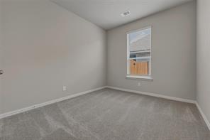 1229 Sabine River Lane - Photo 18