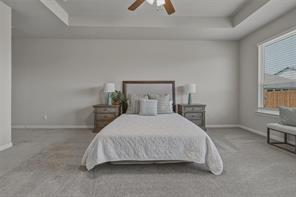 1229 Sabine River Lane - Photo 20
