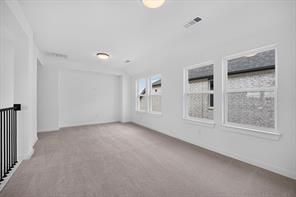 3913 Script Street - Photo 18