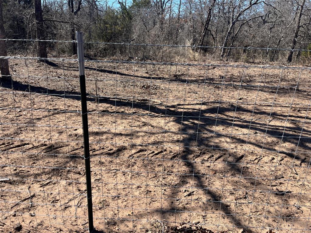 6164 County Road 264 - Photo 10