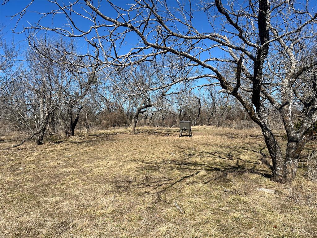 6164 County Road 264 - Photo 7