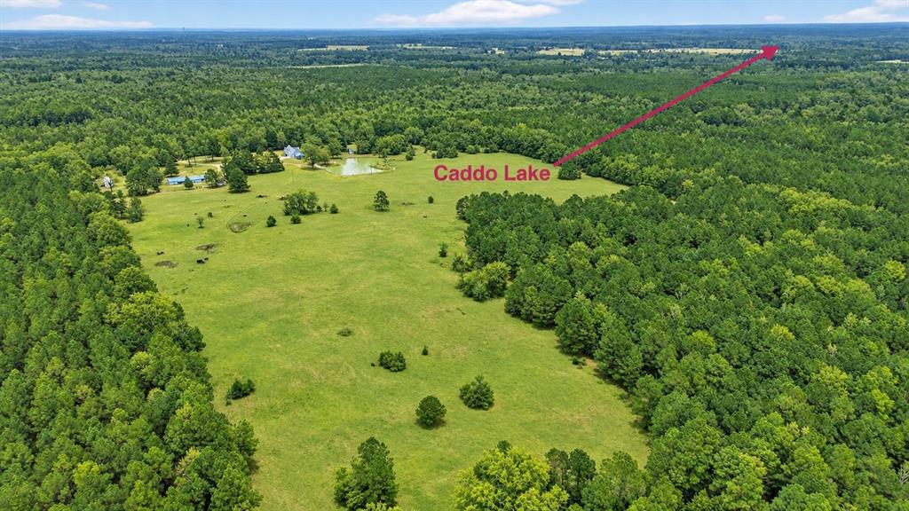 720 Haggerty Road - Photo 8