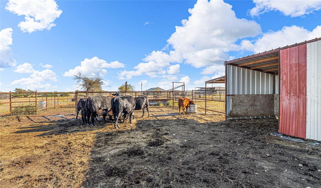 318 CR 3355 - Photo 29