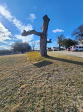 1105 Palo Pinto Street - Photo 15