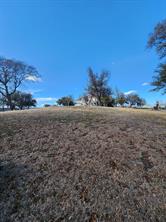 1105 Palo Pinto Street - Photo 18