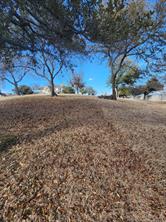 1105 Palo Pinto Street - Photo 19
