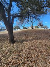 1105 Palo Pinto Street - Photo 20