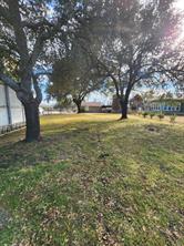 1105 Palo Pinto Street - Photo 23