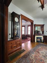 1105 Palo Pinto Street - Photo 3