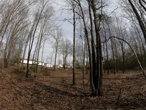 141 Tanglewood Drive - Photo 26