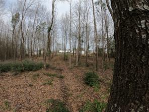 141 Tanglewood Drive - Photo 28
