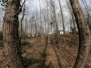 141 Tanglewood Drive - Photo 4