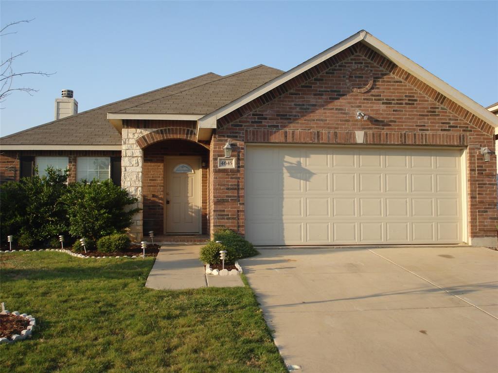 4645 Pangolin Drive - Photo 1