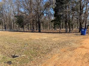 6164 US Highway 259 N - Photo 5
