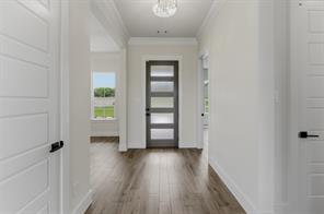 433 Texas Sage Trail - Photo 10