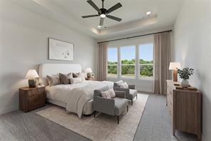 433 Texas Sage Trail - Photo 12