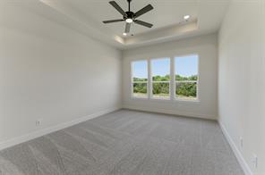 433 Texas Sage Trail - Photo 13