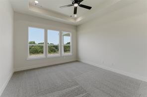 433 Texas Sage Trail - Photo 14