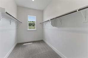 433 Texas Sage Trail - Photo 17