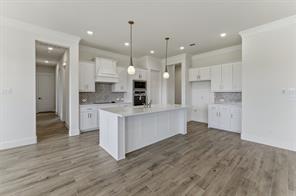 433 Texas Sage Trail - Photo 21