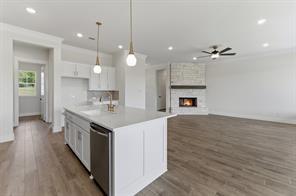 433 Texas Sage Trail - Photo 25