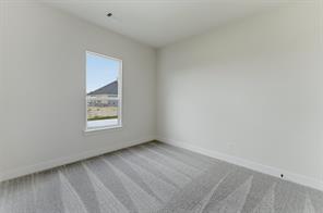 433 Texas Sage Trail - Photo 28