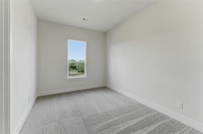 433 Texas Sage Trail - Photo 29