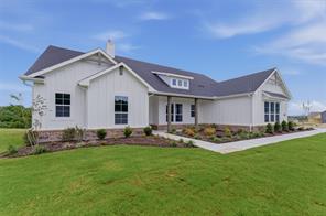433 Texas Sage Trail - Photo 4