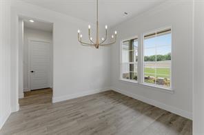 433 Texas Sage Trail - Photo 7