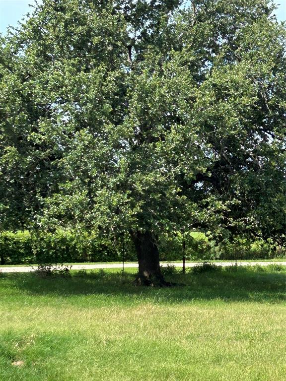 1340 N US Hwy 281 - Photo 34
