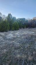905 Zion Hill Road - Photo 12