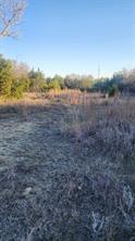905 Zion Hill Road - Photo 13