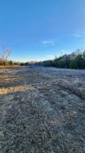 905 Zion Hill Road - Photo 9