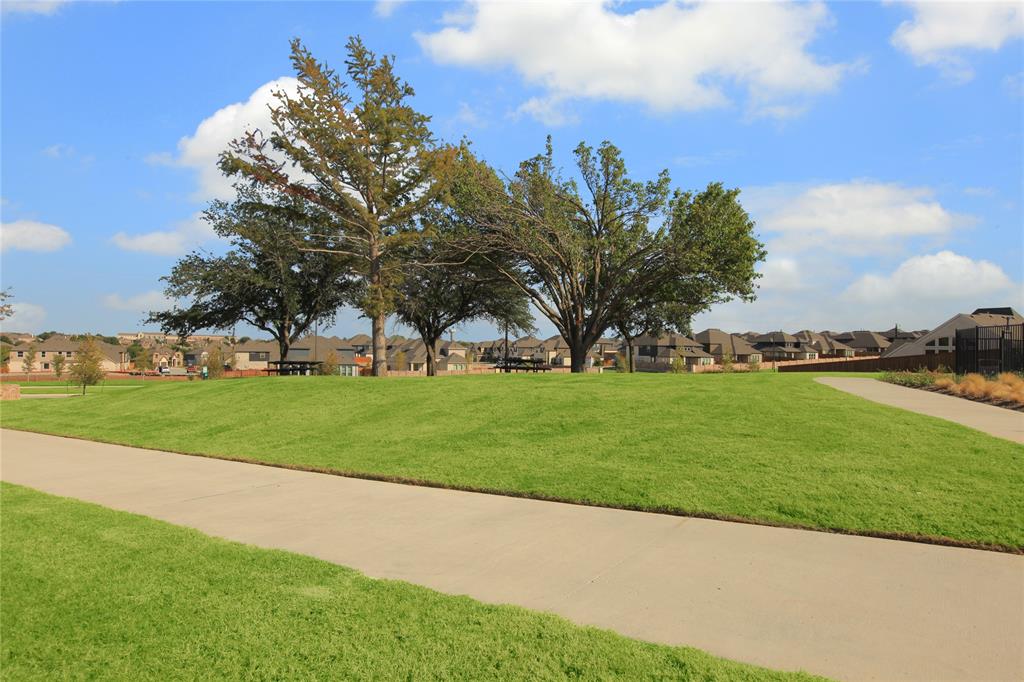 1215 Cartona Road - Photo 39