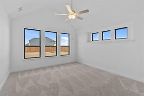 229 Pine Leaf Trail - Photo 9