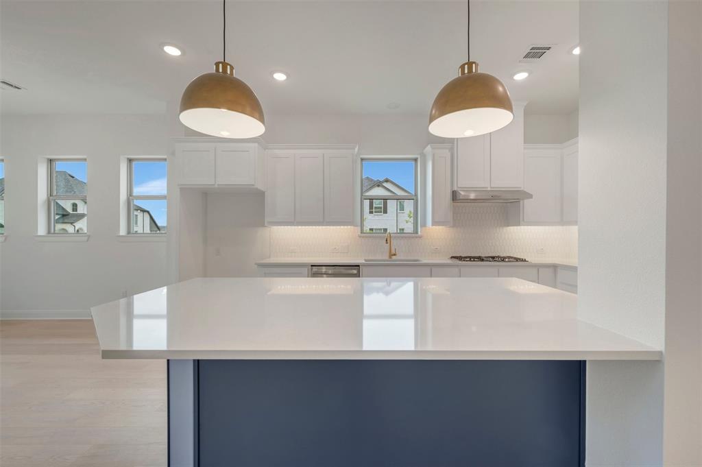 1100 Painted Lady Drive - Photo 8
