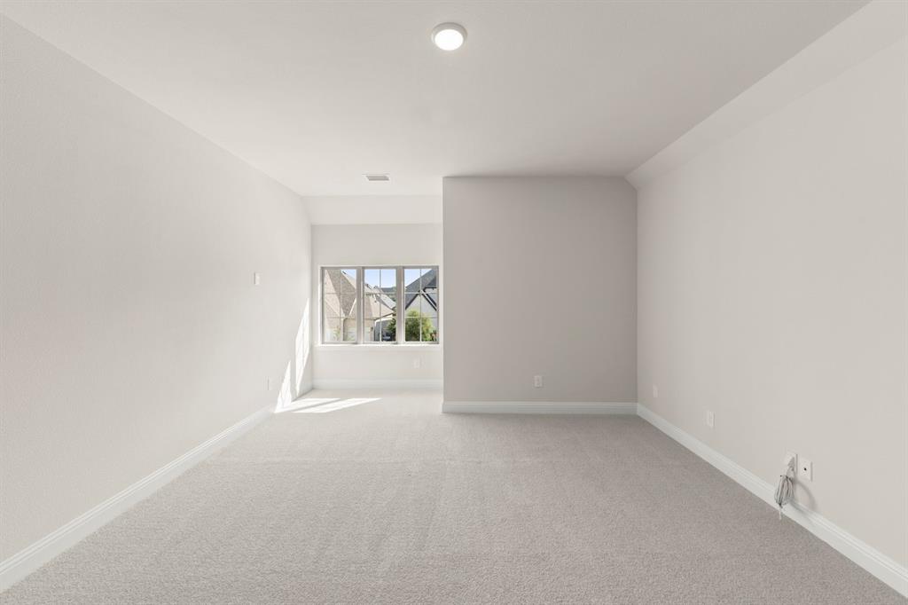 2624 Cone Flower Street - Photo 24
