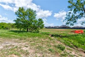 4141 Highway 83 - Photo 8