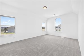 9909 Morning Cloak Drive - Photo 13